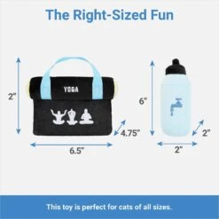 Frisco Yoga Mat & Water Bottle Plush Cat Toy With Catnip, 2 Count -Pawfect Care 288955 PT1. AC SS1800 V1640722966