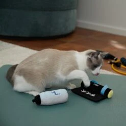 Frisco Yoga Mat & Water Bottle Plush Cat Toy With Catnip, 2 Count -Pawfect Care 288955 PT3. AC SS1800 V1638289648