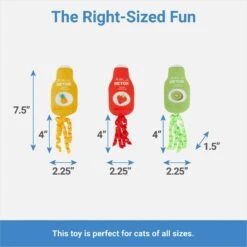 Frisco New Year, New Me Juice Cleanse Plush Cat Toy With Catnip -Pawfect Care 288957 PT1. AC SS1800 V1640722695