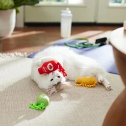 Frisco New Year, New Me Juice Cleanse Plush Cat Toy With Catnip -Pawfect Care 288957 PT3. AC SS1800 V1638292099