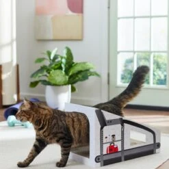 Frisco Treadmill Cardboard Cat House -Pawfect Care 288967 PT3. AC SS1800 V1638288289