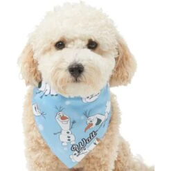 Disney Frozen's Olaf & Snow Personalized Dog & Cat Bandana 16 Disney Frozen's Olaf & Snow Personalized Dog & Cat Bandana -Pawfect Care 290146 PT6. AC SS1800 V1625156909