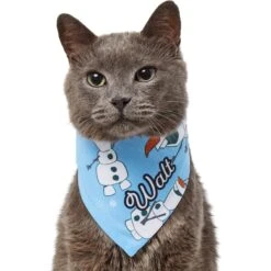 Disney Frozen's Olaf & Snow Personalized Dog & Cat Bandana 17 Disney Frozen's Olaf & Snow Personalized Dog & Cat Bandana -Pawfect Care 290146 PT7. AC SS1800 V1625152400