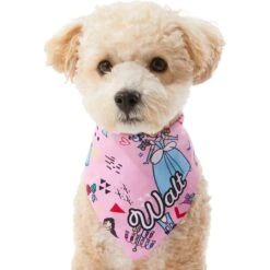 Disney Teeny Princesses Personalized Dog & Cat Bandana 16 Disney Teeny Princesses Personalized Dog & Cat Bandana -Pawfect Care 290154 PT6. AC SS1800 V1630429297