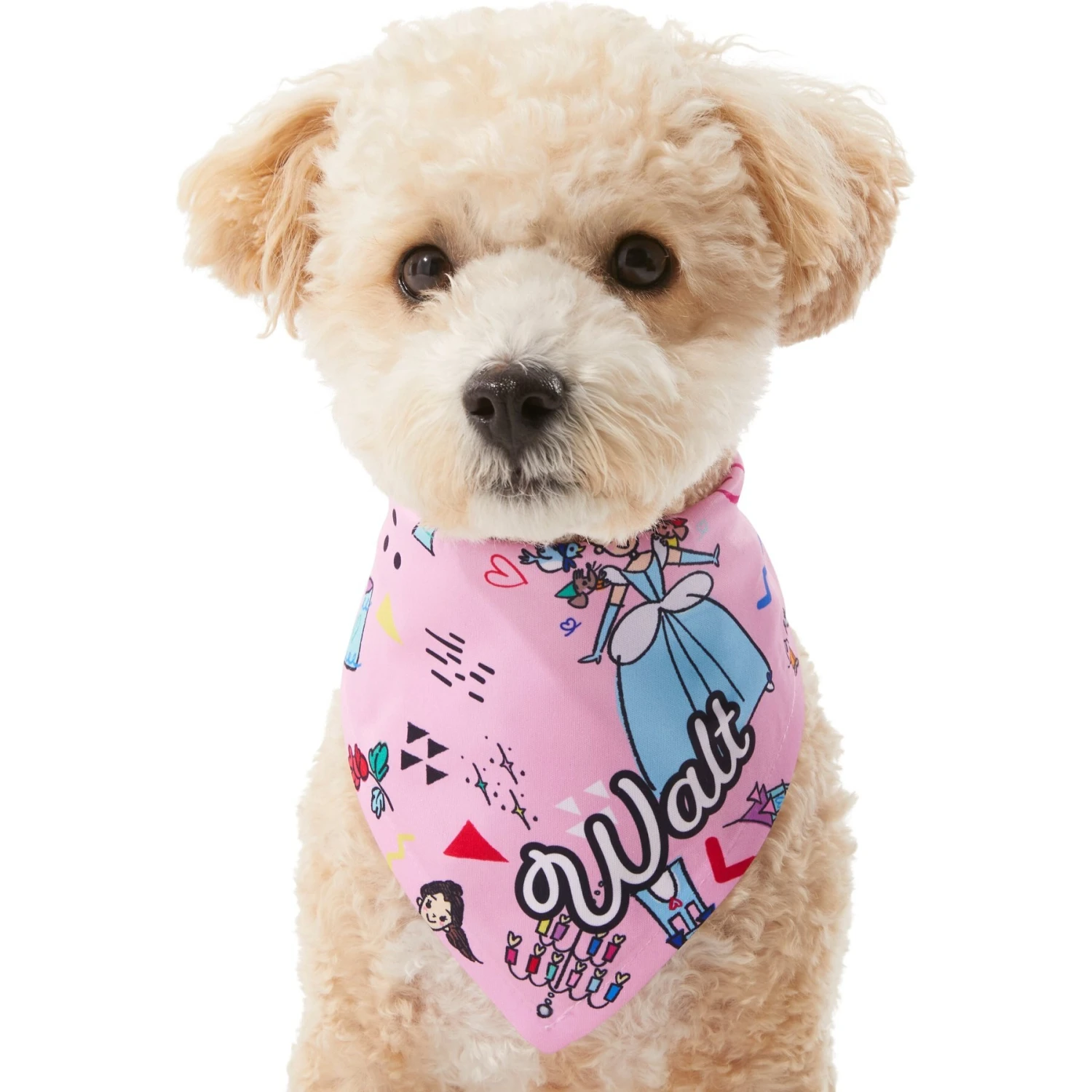 Disney Teeny Princesses Personalized Dog & Cat Bandana 9 Disney Teeny Princesses Personalized Dog & Cat Bandana - Image 7