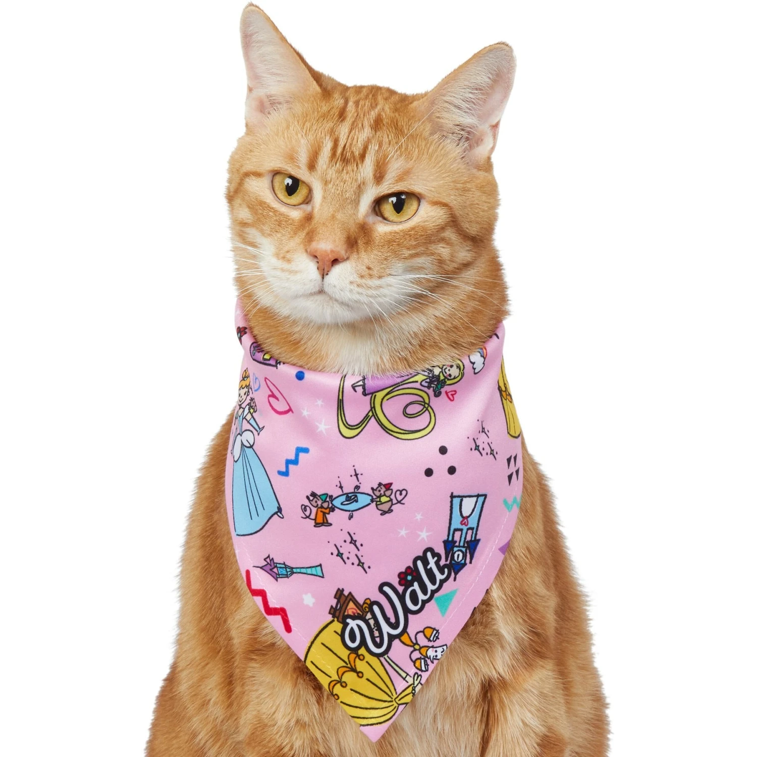 Disney Teeny Princesses Personalized Dog & Cat Bandana 10 Disney Teeny Princesses Personalized Dog & Cat Bandana - Image 8