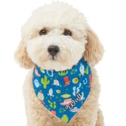 Pixar Toy Story Personalized Dog & Cat Bandana -Pawfect Care 290162 PT6. AC SS1800 V1625155682