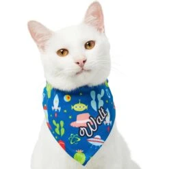 Pixar Toy Story Personalized Dog & Cat Bandana -Pawfect Care 290162 PT7. AC SS1800 V1625153274