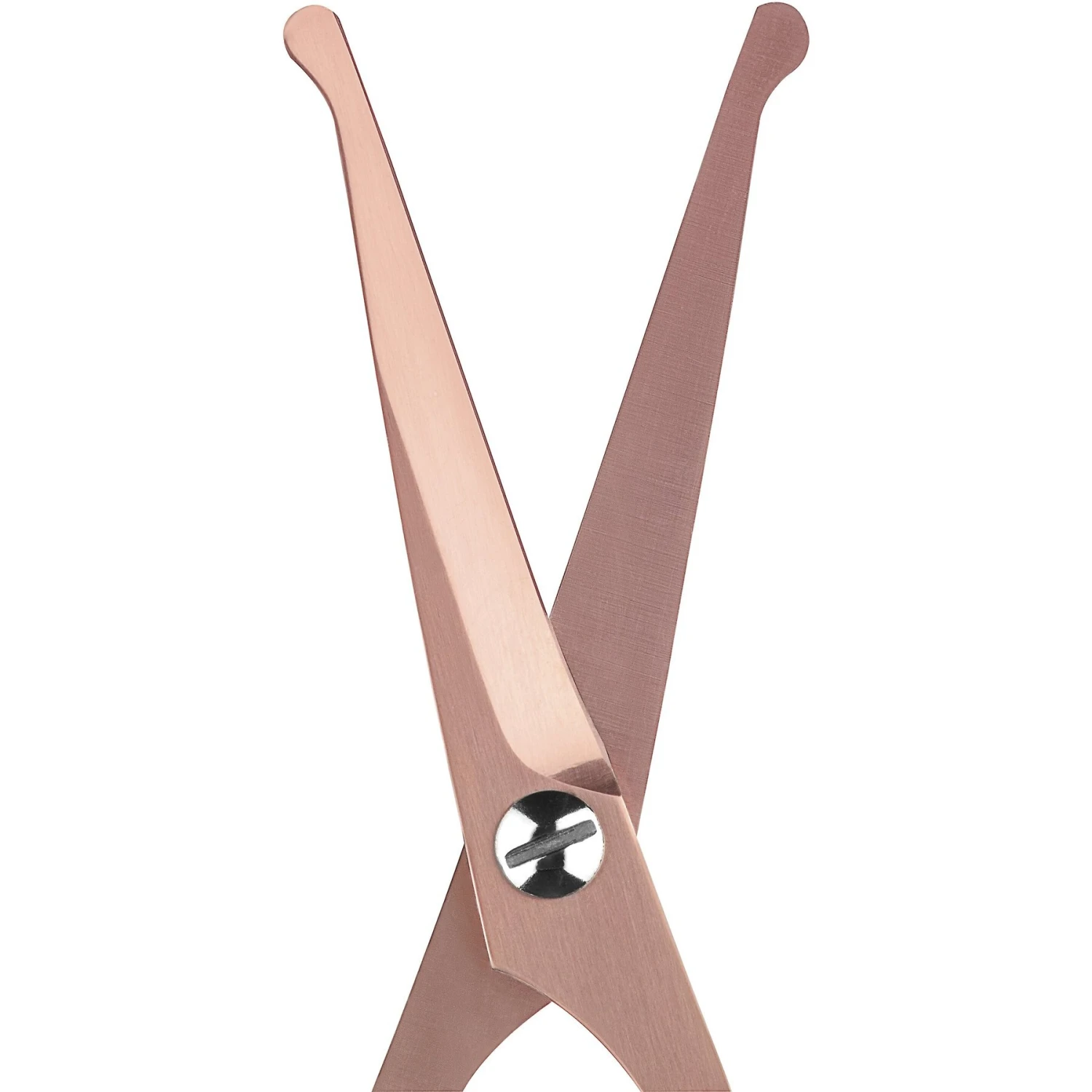 Babyliss Pro Pet Titanium Rounded-Tip Dog Grooming Shears, 5-in 5 Babyliss Pro Pet Titanium Rounded-Tip Dog Grooming Shears, 5-in - Image 3