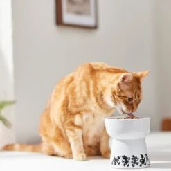 Disney Mickey Mouse Tall Shape Non-Skid Elevated Ceramic Cat Bowl -Pawfect Care 291403 PT3. AC SS1800 V1633978313