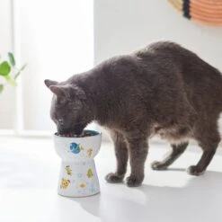 Pixar Finding Nemo Tall Shape Non-Skid Elevated Ceramic Cat Bowl -Pawfect Care 291430 PT3. AC SS1800 V1633978366