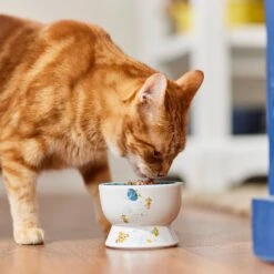 Pixar Finding Nemo Short Shape Non-Skid Elevated Ceramic Cat Bowl -Pawfect Care 291431 PT3. AC SS1800 V1633978887