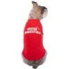 Frisco Mister Irresistible Dog & Cat T-Shirt -Pawfect Care 292026 MAIN. AC SS1800 V1637269120