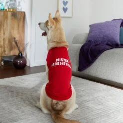 Frisco Mister Irresistible Dog & Cat T-Shirt -Pawfect Care 292026 PT6. AC SS1800 V1701797008