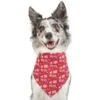 Frisco Love Letters Dog & Cat Bandana -Pawfect Care 292051 MAIN. AC SS1800 V1637269309