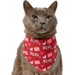 Frisco Love Letters Dog & Cat Bandana -Pawfect Care 292051 PT2. AC SS1800 V1637269050