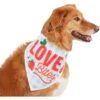 Frisco Love Bites Dog & Cat Bandana -Pawfect Care 292054 MAIN. AC SS1800 V1637268755