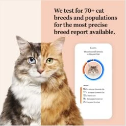 Wisdom Panel Complete Cat DNA Test -Pawfect Care 292483 PT2. AC SS1800 V1679065357