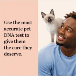 Wisdom Panel Complete Cat DNA Test -Pawfect Care 292483 PT3. AC SS1800 V1679065316