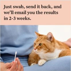 Wisdom Panel Complete Cat DNA Test -Pawfect Care 292483 PT6. AC SS1800 V1679065318