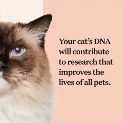 Wisdom Panel Complete Cat DNA Test -Pawfect Care 292483 PT7. AC SS1800 V1679065316