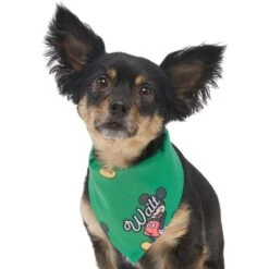 Disney Mickey Mouse Golden Days Personalized Dog & Cat Bandana -Pawfect Care 294293 PT6. AC SS1800 V1625153291