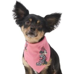 Disney Minnie Mouse Golden Days Personalized Dog & Cat Bandana -Pawfect Care 294297 PT6. AC SS1800 V1625151804