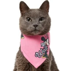 Disney Minnie Mouse Golden Days Personalized Dog & Cat Bandana -Pawfect Care 294297 PT7. AC SS1800 V1625153917