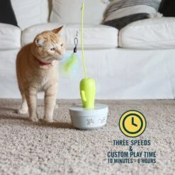 OurPets Cactus Wand Cat Toy -Pawfect Care 295682 PT3. AC SS1800 V1632947513