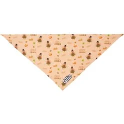 Frisco Quirky Thanksgiving Personalized Dog & Cat Bandana -Pawfect Care 296986 PT3. AC SS1800 V1627654956