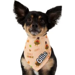 Frisco Quirky Thanksgiving Personalized Dog & Cat Bandana -Pawfect Care 296986 PT6. AC SS1800 V1627654020