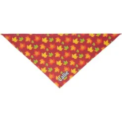 Frisco Fall Leaves Personalized Dog & Cat Bandana -Pawfect Care 296994 PT3. AC SS1800 V1627655265