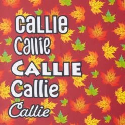 Frisco Fall Leaves Personalized Dog & Cat Bandana -Pawfect Care 296994 PT4. AC SS1800 V1627654575