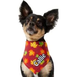Frisco Fall Leaves Personalized Dog & Cat Bandana -Pawfect Care 296994 PT6. AC SS1800 V1627654351