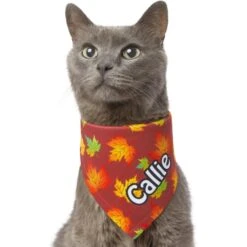 Frisco Fall Leaves Personalized Dog & Cat Bandana -Pawfect Care 296994 PT7. AC SS1800 V1627655275