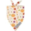 Frisco Pumpkin Spice Personalized Dog & Cat Bandana -Pawfect Care 296998 MAIN. AC SS1800 V1627653400