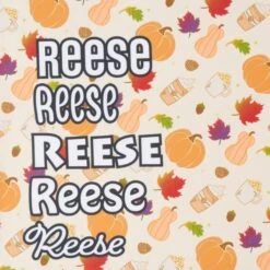 Frisco Pumpkin Spice Personalized Dog & Cat Bandana -Pawfect Care 296998 PT4. AC SS1800 V1627655195