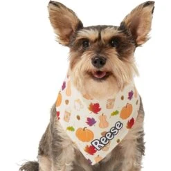 Frisco Pumpkin Spice Personalized Dog & Cat Bandana -Pawfect Care 296998 PT6. AC SS1800 V1627654408