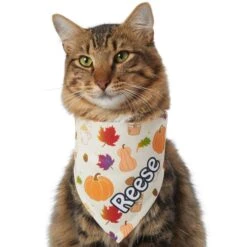Frisco Pumpkin Spice Personalized Dog & Cat Bandana -Pawfect Care 296998 PT7. AC SS1800 V1627654273