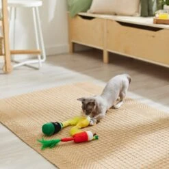 Frisco Brunch Bottomless Mimosas Plush Cat Toy With Catnip, 3 Count -Pawfect Care 297288 PT2. AC SS1800 V1642088553