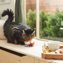 Frisco Brunch Teacup Plush Cat Toy With Catnip -Pawfect Care 297292 PT2. AC SS1800 V1642088843