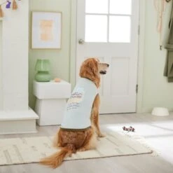 STAR WARS DEATH STAR Easter Basket Dog & Cat T-Shirt -Pawfect Care 297556 PT5. AC SS1800 V1640712906