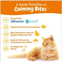 Zesty Paws Calming Bites Bacon Flavored Soft Chews Supplement For Cats & Zesty Paws Wild Alaskan Salmon Oil Liquid Skin & Coat Supplement For Dogs & Cats -Pawfect Care 298794 PT4. AC SS1800 V1697138469