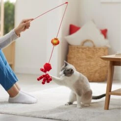 Frisco Lunar New Year Firecracker & Lantern Teaser Cat Toy With Catnip -Pawfect Care 298901 PT3. AC SS1800 V1640269210