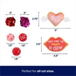 Frisco Valentine Variety Pack Cat Toy With Catnip, 13 Count -Pawfect Care 298966 PT2. AC SS1800 V1701364858