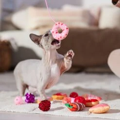 Frisco Valentine Variety Pack Cat Toy With Catnip, 13 Count -Pawfect Care 298966 PT3. AC SS1800 V1701364858