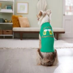 Frisco Let's Get Shamrocked Dog & Cat T-Shirt -Pawfect Care 300184 PT8. AC SS1800 V1639597401