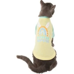 Frisco Hipster Hopster Dog & Cat T-Shirt -Pawfect Care 300638 PT2. AC SS1800 V1641538001