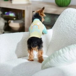 Frisco Hipster Hopster Dog & Cat T-Shirt -Pawfect Care 300638 PT5. AC SS1800 V1641540418