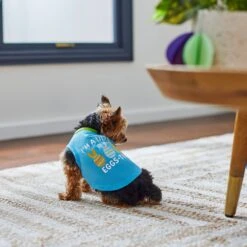 Frisco I'm A Little Eggs-tra Dog & Cat T-Shirt -Pawfect Care 300646 PT5. AC SS1800 V1641542509